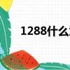 1288什么意思寓意（1288什么意思）