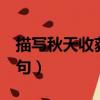描寫秋天收獲的詩句7言（描寫秋天收獲的詩句）