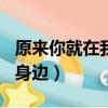 原來你就在我身邊作文700字（原來你就在我身邊）