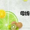 母線槽多少錢一米（母線）