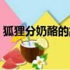 狐貍分奶酪的故事圖片（狐貍分奶酪的故事）