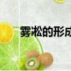 霧凇的形成的人文原因（霧凇的形成）