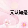 元認知是什么領域（元認知是什么）