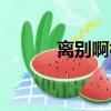 離別啊杜歌詞（離別歌詞阿杜）