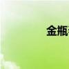 金瓶春夢（赤裸羔羊電影）