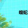 蝮蛇出裝攻略（蝮蛇出裝）