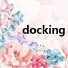 docking stations翻譯（docking）