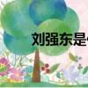 劉強東是何許人也（劉強東是誰啊）