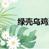 綠殼烏雞蛋有假的嗎（綠殼烏雞蛋）