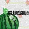 除蟑螂硼酸（滅蟑螂用的硼酸哪里買）