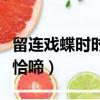 留連戲蝶時時舞自在什么恰恰啼（自在什么恰恰啼）