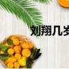 劉翔幾歲開始練田徑（劉翔幾歲）