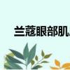 蘭蔻眼部肌底眼霜（蘭蔻基因賦活眼霜）