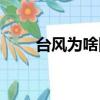 臺風為啥除名（臺風為什么被除名）