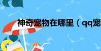 神奇寵物在哪里(qq寵物神奇之旅)