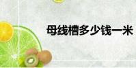 母線槽多少錢一米(母線)