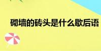 砌墻的磚頭是什么歇后語(砌墻的磚頭)