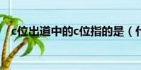 c位出道中的c位指的是(什么是c位出道)