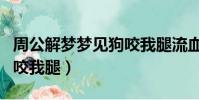 周公解夢夢見狗咬我腿流血(周公解夢夢見狗咬我腿)