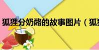 狐貍分奶酪的故事圖片(狐貍分奶酪的故事)