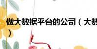 做大數據平臺的公司(大數據平臺公司有哪些)