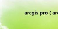 arcgis pro(arcgis)