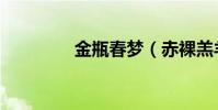 金瓶春夢(赤裸羔羊電影)