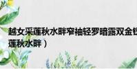 越女采蓮秋水畔窄袖輕羅暗露雙金釵一詞的牌調是(越女采蓮秋水畔)