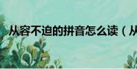 從容不迫的拼音怎么讀(從容不迫的拼音)