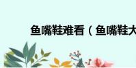 魚嘴鞋難看(魚嘴鞋大了怎么辦)