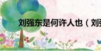 劉強東是何許人也(劉強東是誰啊)
