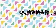 QQ豬豬俠頭像(qq豬豬)