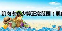 肌肉率多少算正常范圍(肌肉率多少算正常)