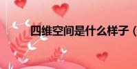 四維空間是什么樣子(四維空間)