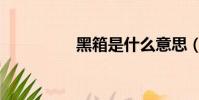 黑箱是什么意思(黑箱)