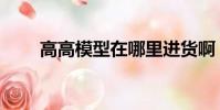 高高模型在哪里進貨啊(高高模型)