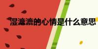 濕漉漉的心情是什么意思(濕濕的想念)