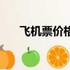 飛機票價格什么時候最低（飛機票價）