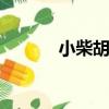 小柴胡顆粒主要治什么（xch）