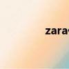 zara代購女包（zara代購）
