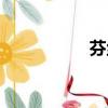 芬絲尼面膜（芬絲尼）