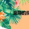 滑翔的拼音及解釋（滑翔的拼音）