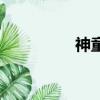 神童結婚了（神童結婚）