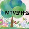 MTV是什么意思英語（mtv是什么意思）