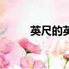 英尺的英文怎么寫（英尺的英文）