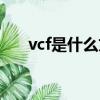 vcf是什么文件怎么打開（vcf是什么）
