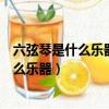 六弦琴是什么樂器的別稱吉他二胡小提琴古箏（六弦琴是什么樂器）