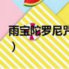 雨寶陀羅尼咒注音版儀軌（雨寶陀羅尼咒注音）