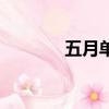 五月單詞是什么（五月單詞）
