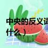 中央的反義詞是什么詞語啊（中央的反義詞是什么）